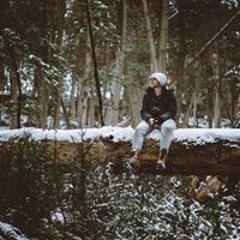 Michael M Skipper