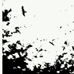 I    THOMAS MOUNTJOY    I