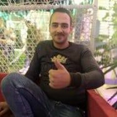 محمود سلامة الشيخ