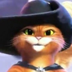 puss in 👢boots