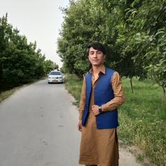 Mehmood Khan Ahmedzai