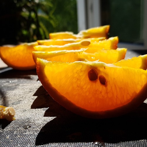 Alice Russel - Mean To Me