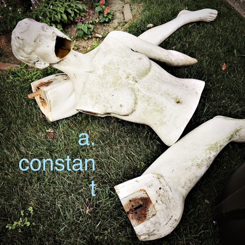Adrian Constant’s avatar