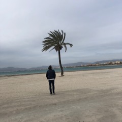 d.light