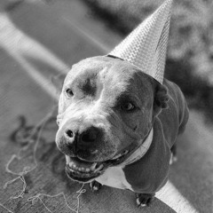 Rəmîŋï§ĉɛɲŧ-