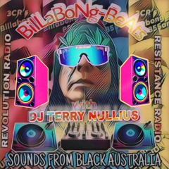 DJ Terry Nulluis
