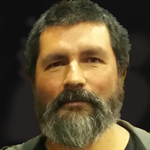 Victor Veliz Alvear’s avatar