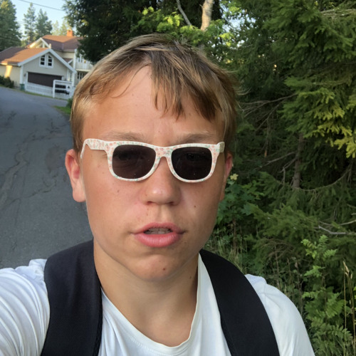 Fredrik Flo — artist photo