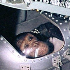 Chimps In Orbit