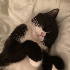 Tina