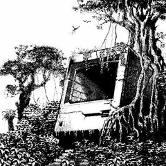 average forest enjoyer