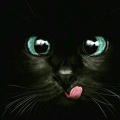 normal cat user