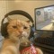IliaS