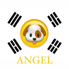 개재후