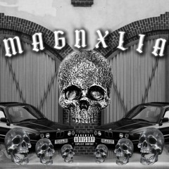Magnxlia
