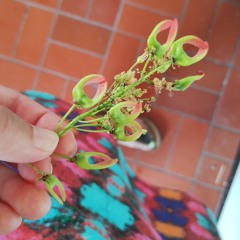 Ms. My hope is in bloom..