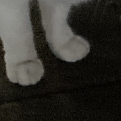 ___