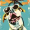 dingo