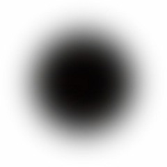 judiffa + the spyders