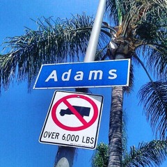 YFadams