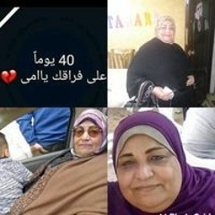Mohamed Magdy Algolf