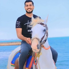 Elsayed Elzeftawy