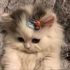 남궁