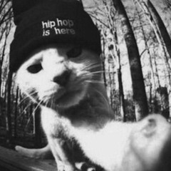 lil jerry (h911)