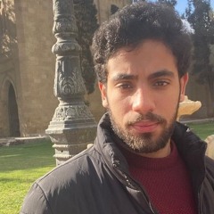 Mohamed Emad