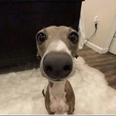 Smok Munki