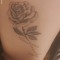 RoseW03
