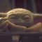 Baby Yoda Clan