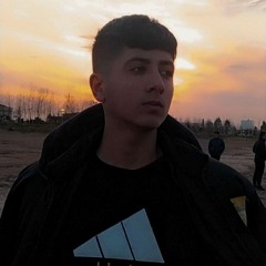 AMIRrip