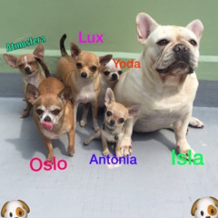 Dalla Nora Otto Duke