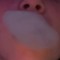 Jdot