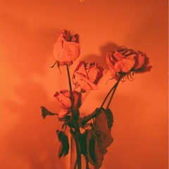 Orange Moon Meditation Sessions