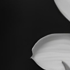 m i k a t w e n t y t w o