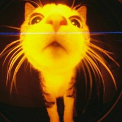 a̴̗͆m̴̞̌ă̷̮r̶͓̐e̴̝͘n̵̨͐a̸̛ͅ