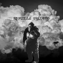 KingZlilla Records