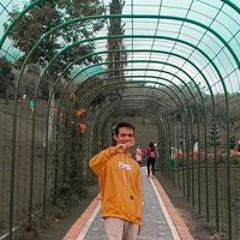Untitled playlist