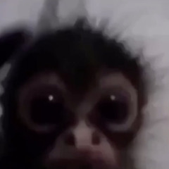Dunkaroo