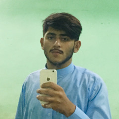 Malik Muhammad
