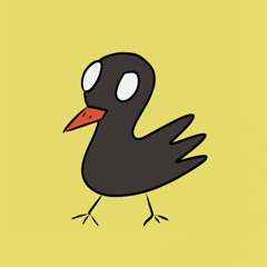 madintobirdwatching