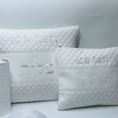 נריה שביב