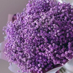 Natqaaaaaaaaqqqqqqqqqqqqqqqqqqqqqqqqqqqqqqqqqqqqqq