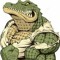 LACOSTE🐊🐊