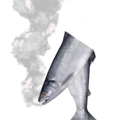 kapowser