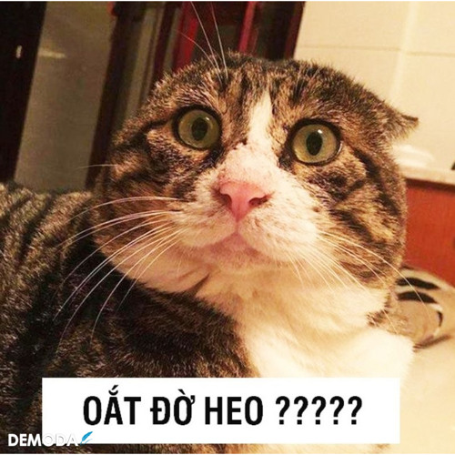Gieo quẻ - Hoàng Thuỳ Linh, Đen Vâu- VAnh mix