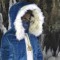 snoweyy