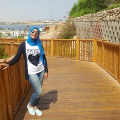 Amr Diab